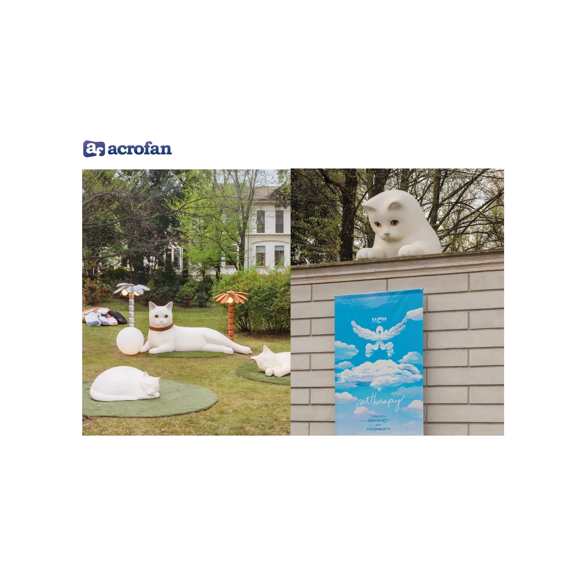 Acrofan: MCM x Pet Therapy 2025