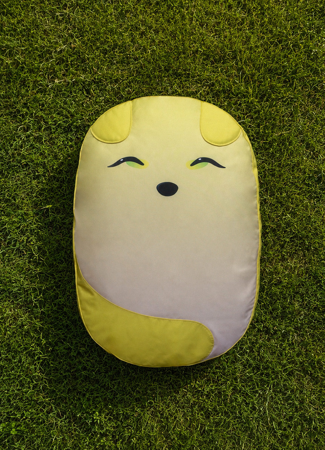 Bao