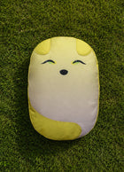 Bao