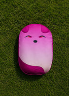 Bao