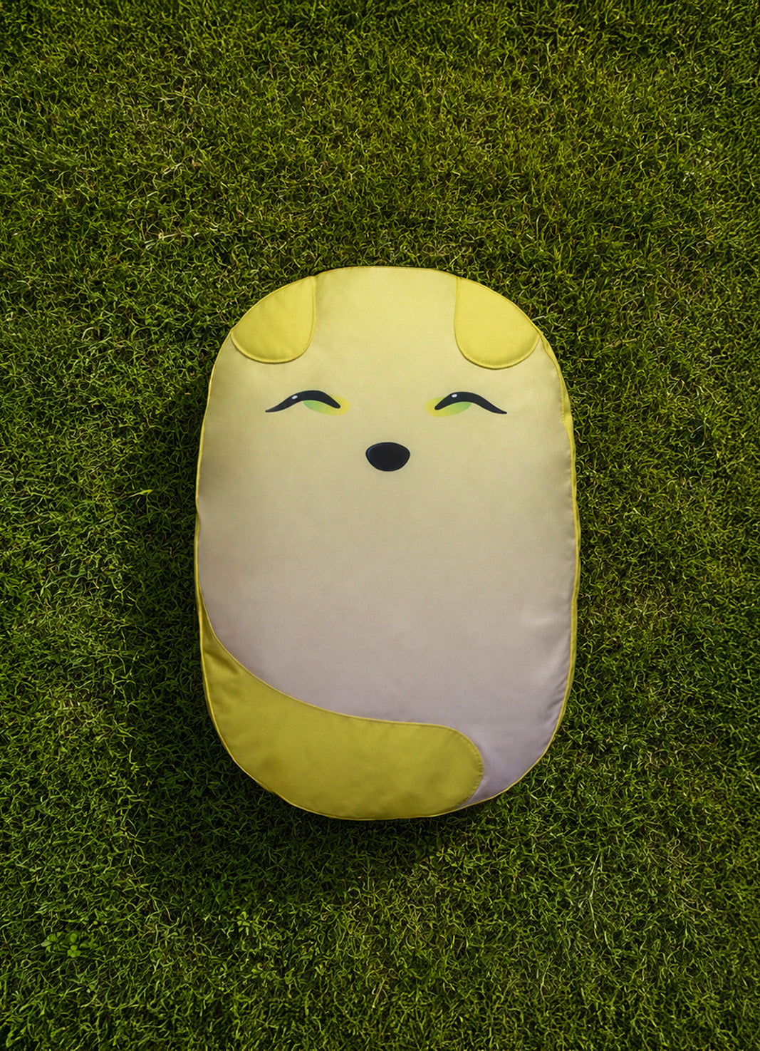 Bao