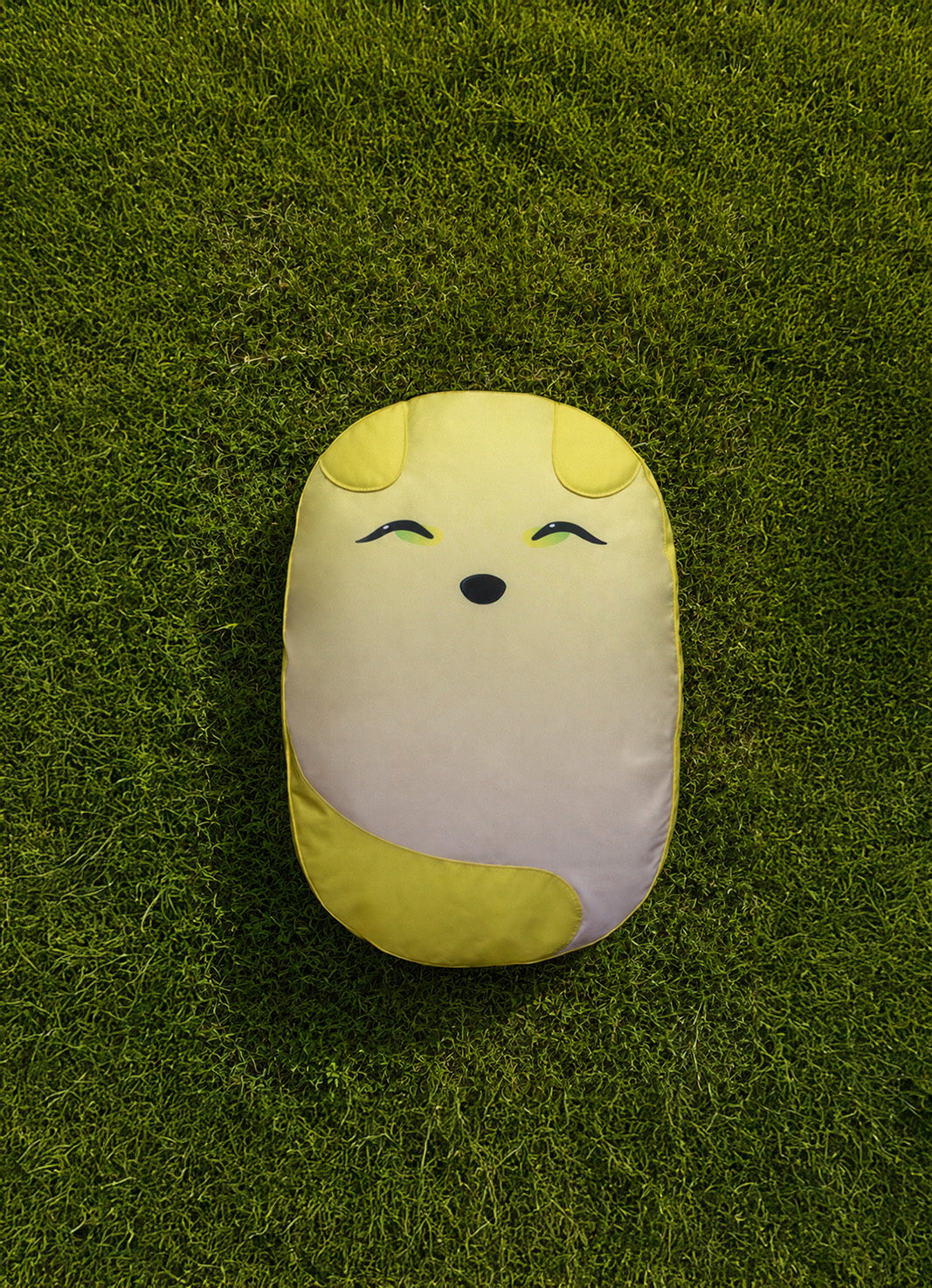 Bao