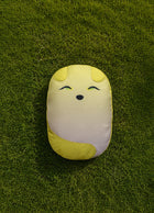 Bao